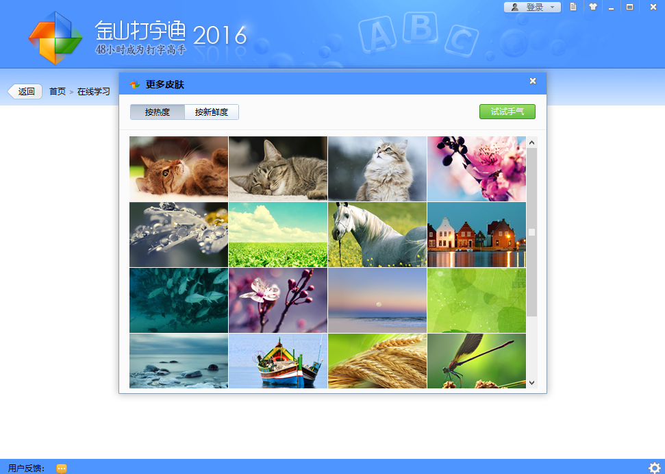 金山打字通2016截图6