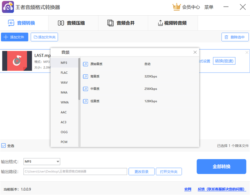 王者音频格式转换器截图3