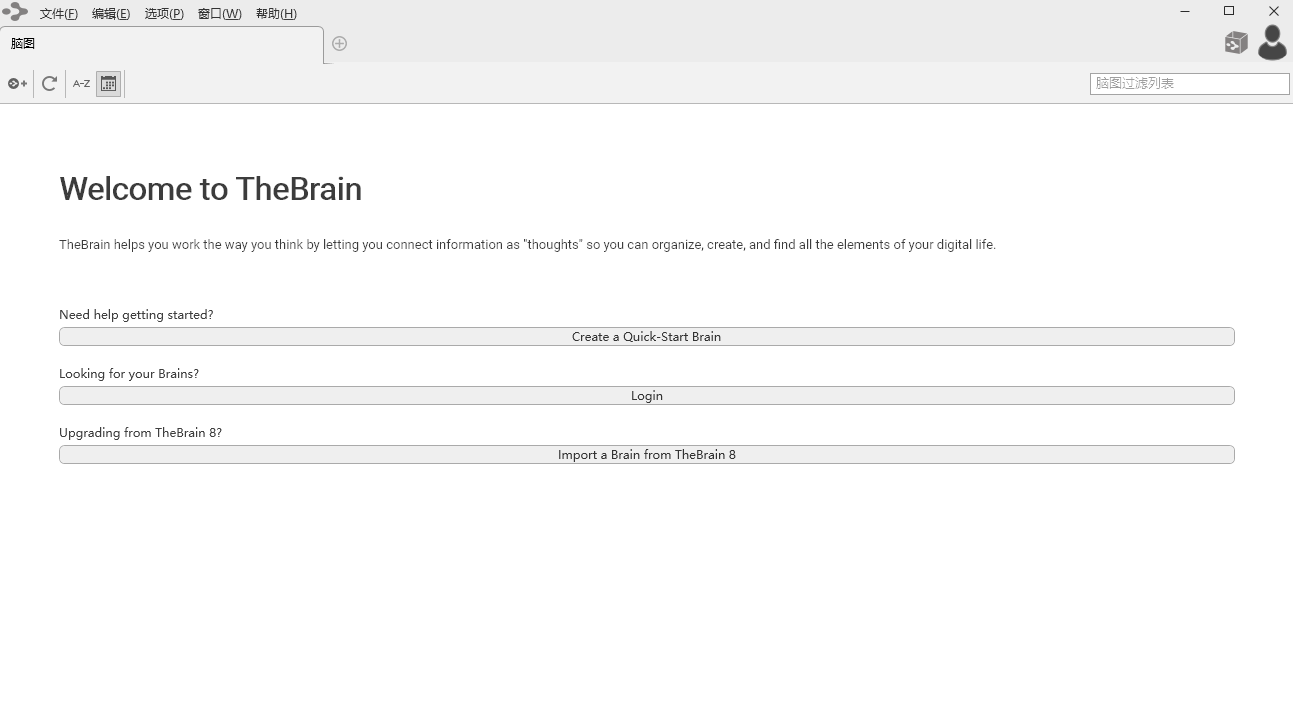 TheBrain 14截图4